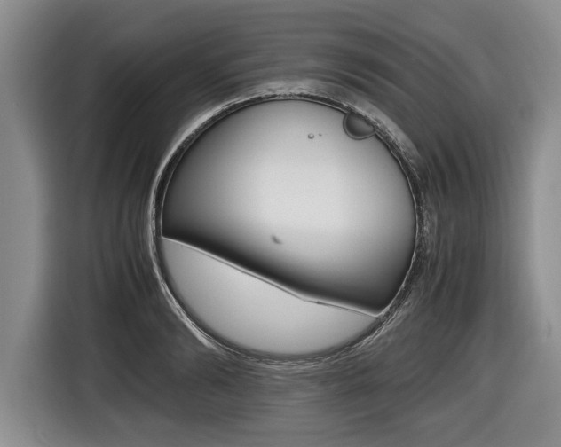 X0000116440894200912081350