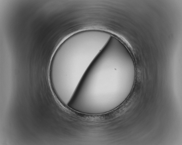 X0000116440895200912081350