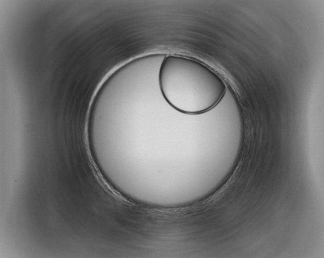 X0000116440896200912081350
