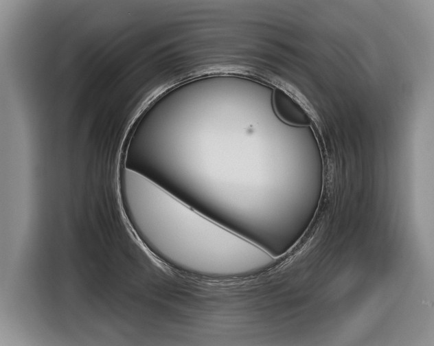 X0000116440898200912081350