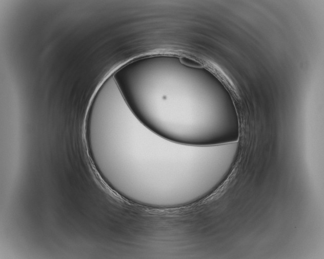 X0000116440900200912081350