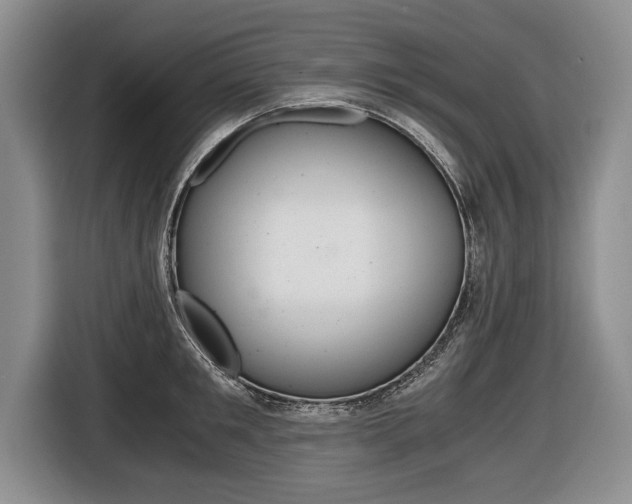 X0000116440901200912081350