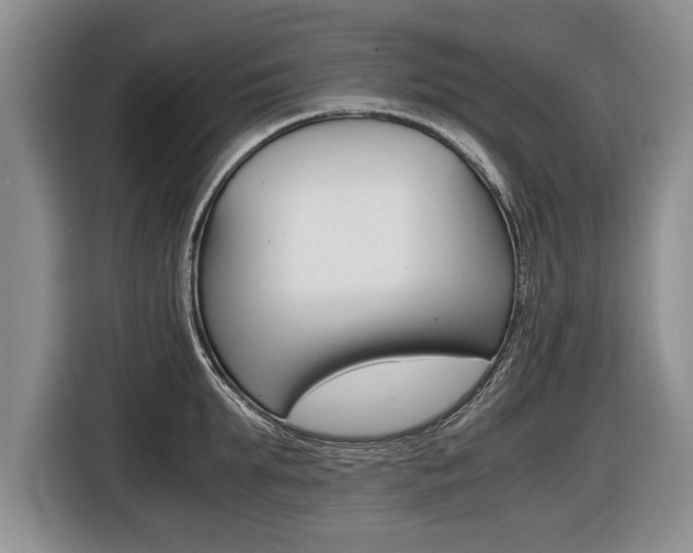 X0000116440903200912081350