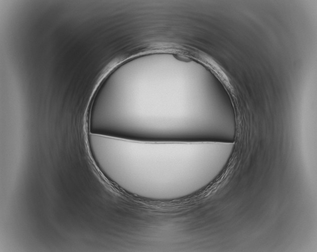 X0000116440907200912081350