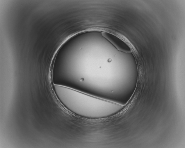 X0000116440908200912081350