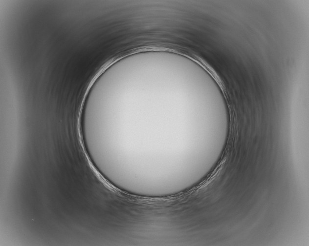 X0000116440909200912081350