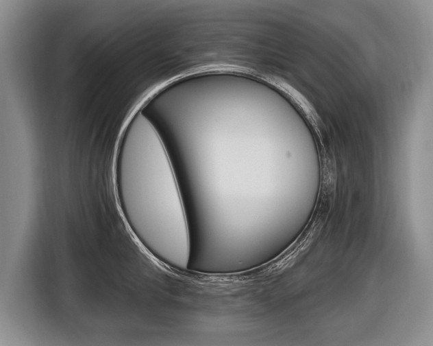 X0000116440910200912081350