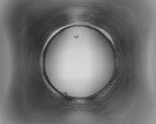 X0000116440911200912081350