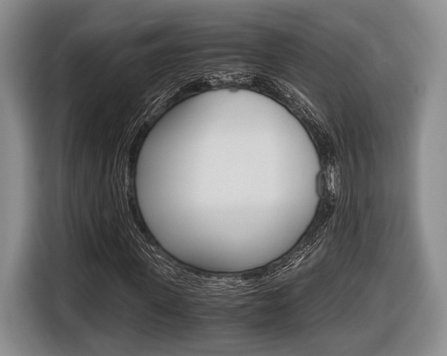 X0000116440915200912081349