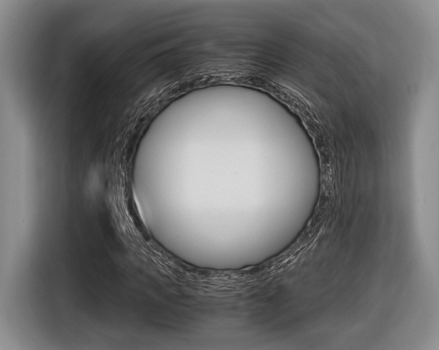 X0000116440917200912081349