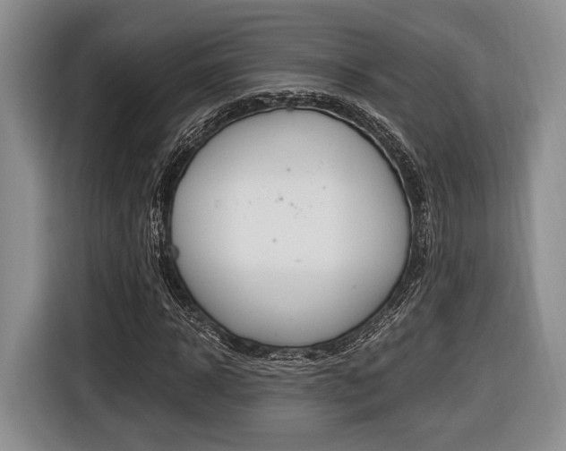 X0000116440918200912081350