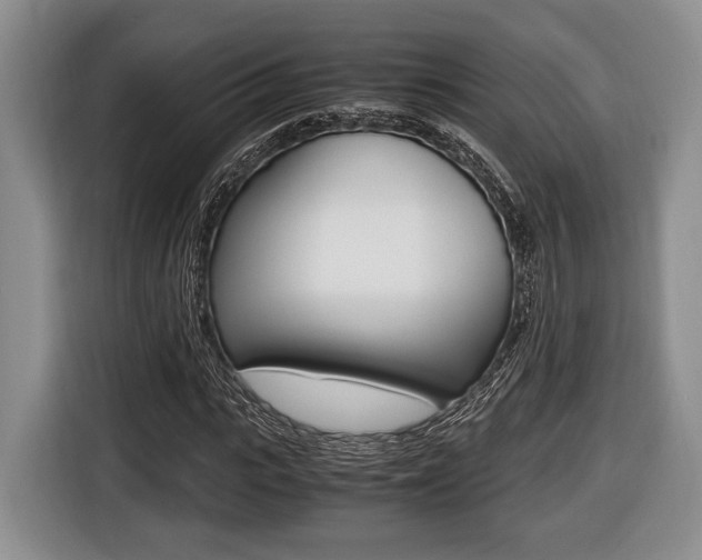 X0000116440919200912081350