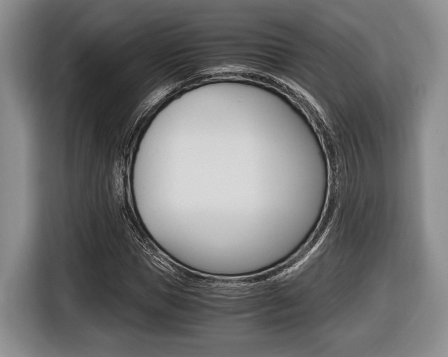 X0000116440921200912081350
