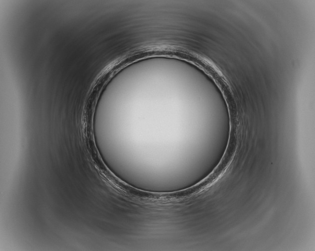 X0000116440922200912081350