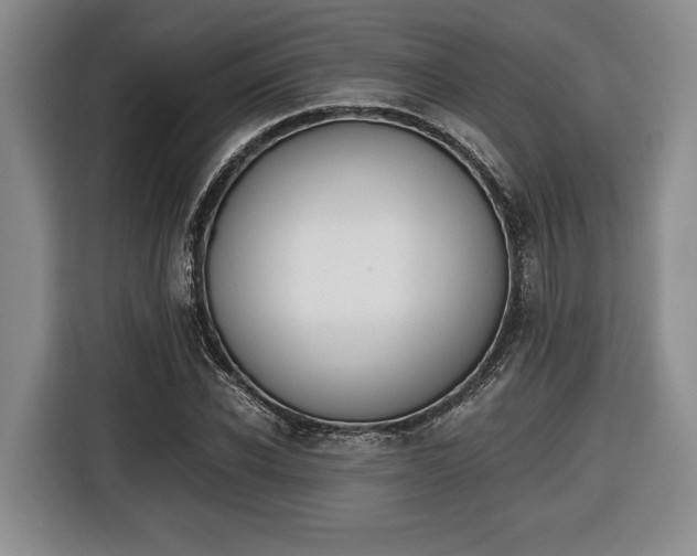 X0000116440926200912081350