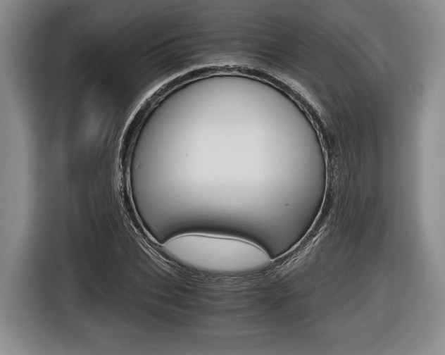 X0000116440927200912081350