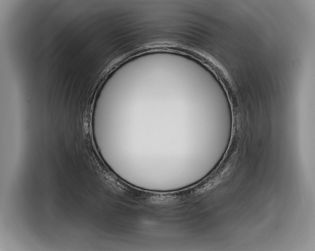 X0000116440929200912081350