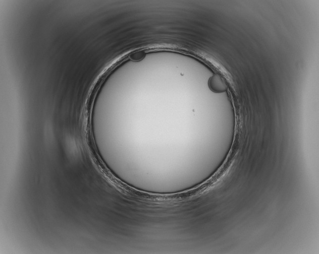 X0000116440933200912081350