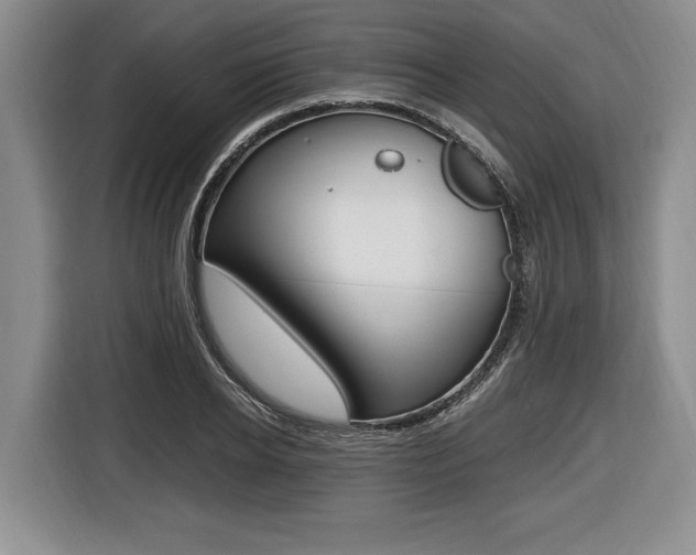 X0000116440934200912081350