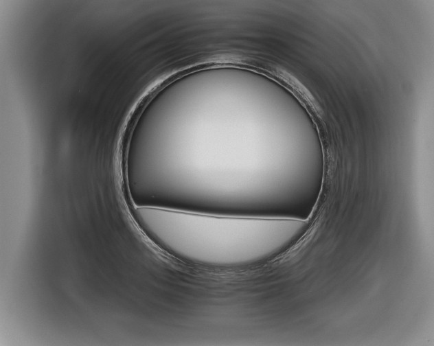 X0000116440939200912081350