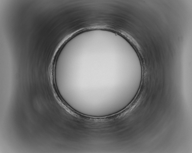 X0000116440941200912081350