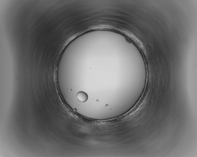 X0000116440945200912081350