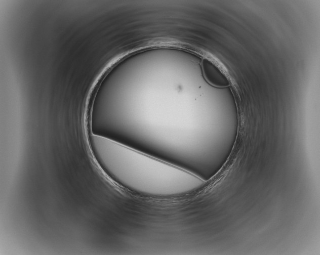 X0000116440947200912081350