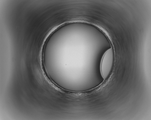 X0000116440949200912081350