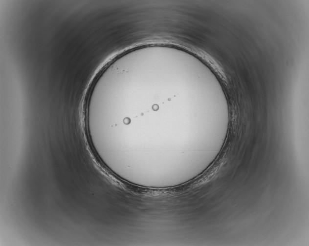 X0000116440950200912081350