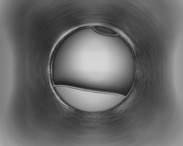X0000116440951200912081350