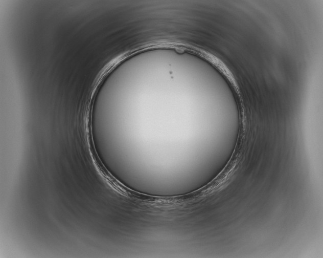 X0000116440954200912081350