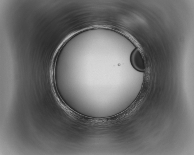 X0000116440955200912081350