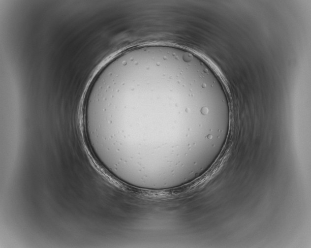 X0000116440957200912081350