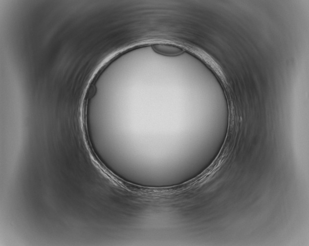 X0000116440958200912081350