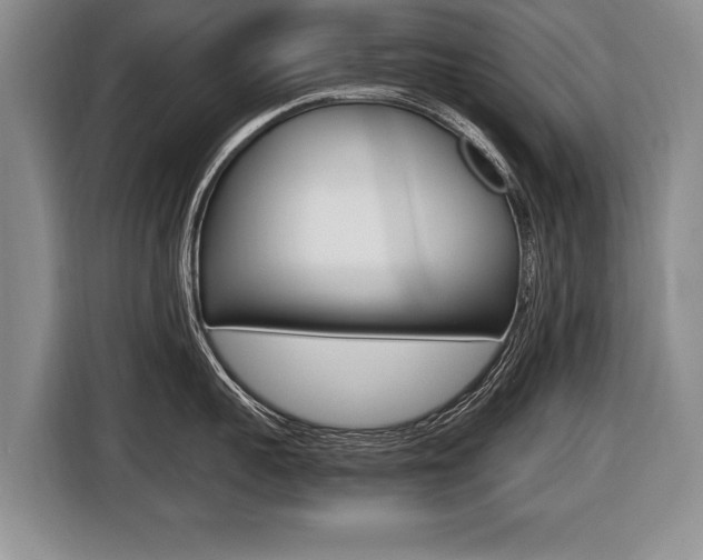 X0000116440959200912081350