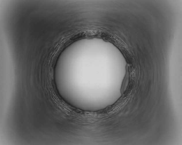 X0000116440961200912081349