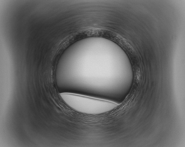 X0000116440964200912081349