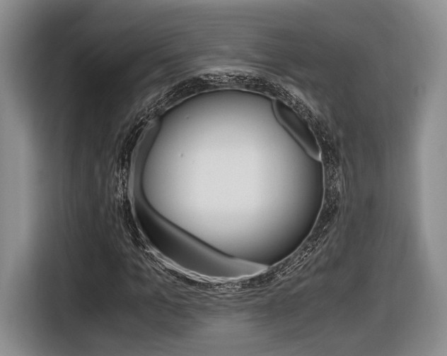 X0000116440965200912081349