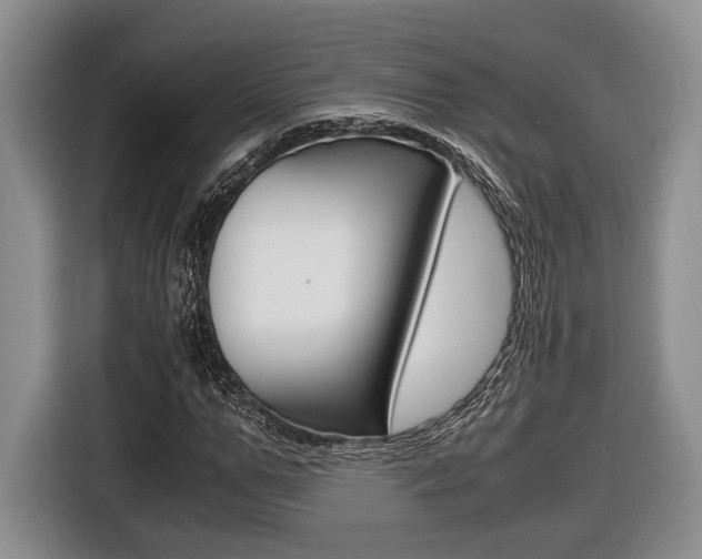 X0000116440967200912081349