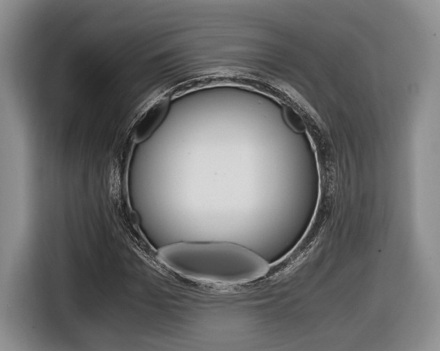 X0000116440969200912081349
