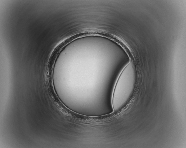 X0000116440971200912081349