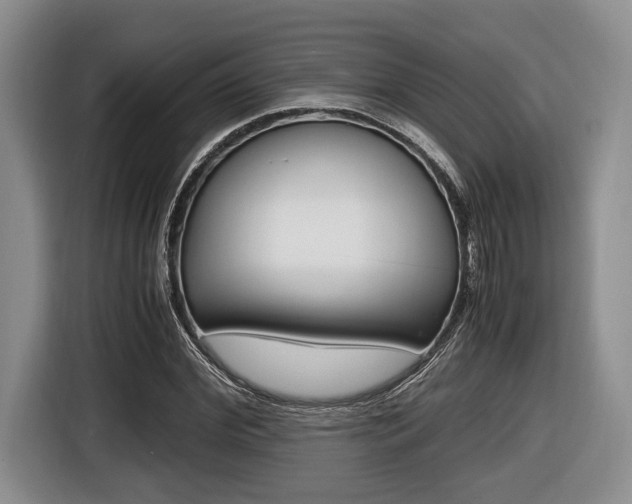 X0000116440972200912081349