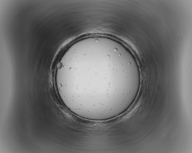 X0000116440974200912081349