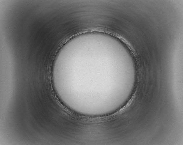 X0000116440977200912081349