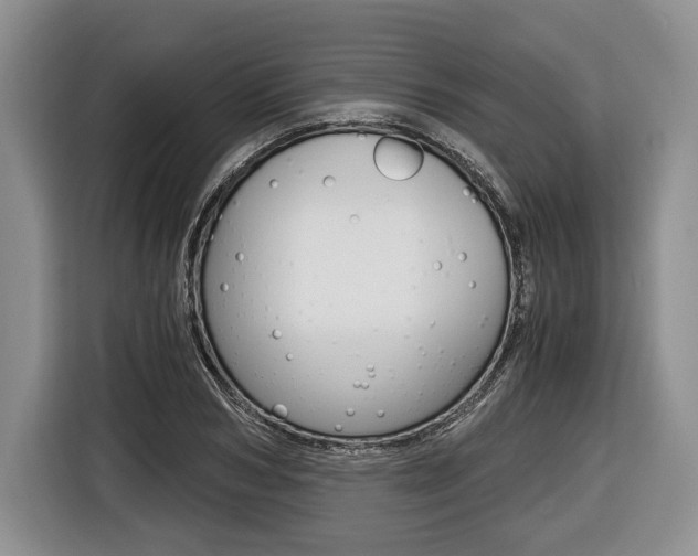 X0000116440978200912081349