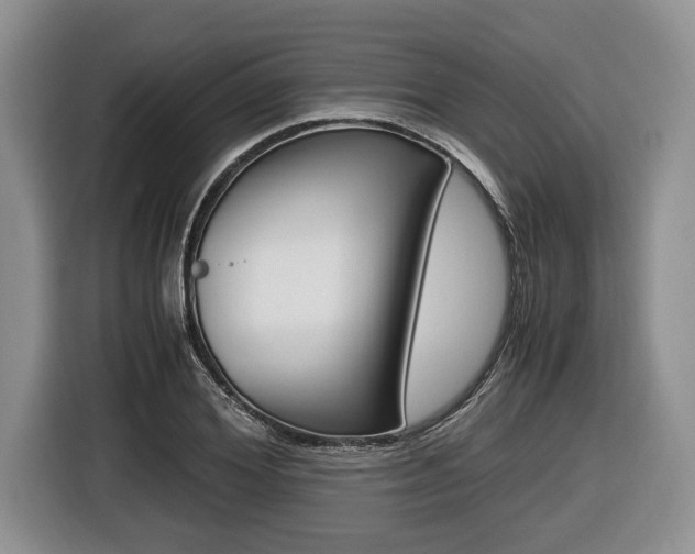 X0000116440980200912081349