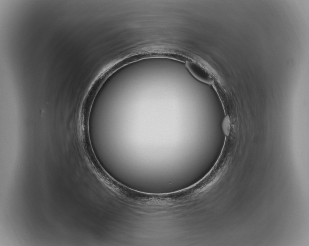 X0000116440981200912081349