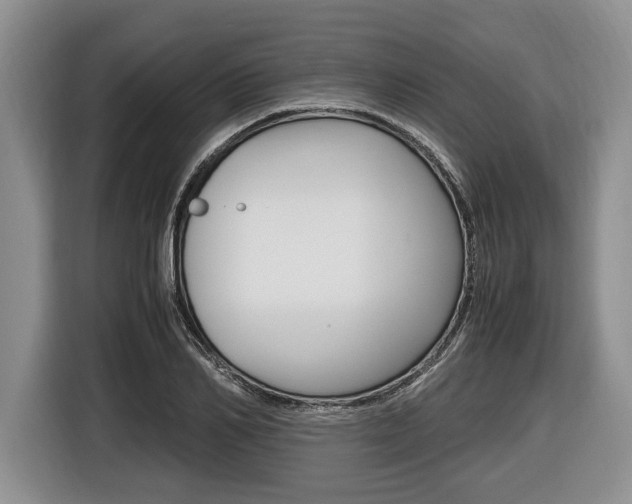 X0000116440982200912081349