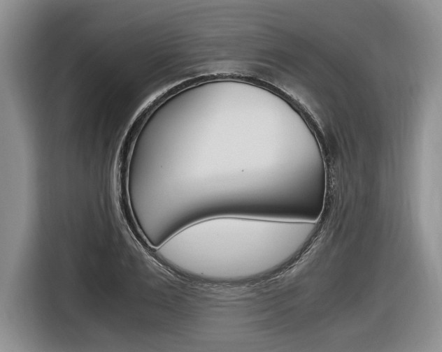 X0000116440983200912081349