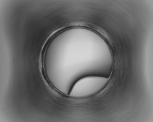 X0000116440984200912081349